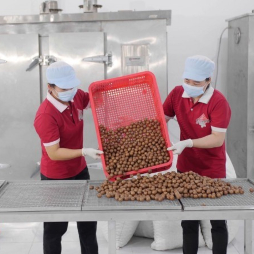 Đắk Lắk: Nhiều Giải Pháp Hỗ Trợ Doanh Nghiệp Nhỏ Và Vừa