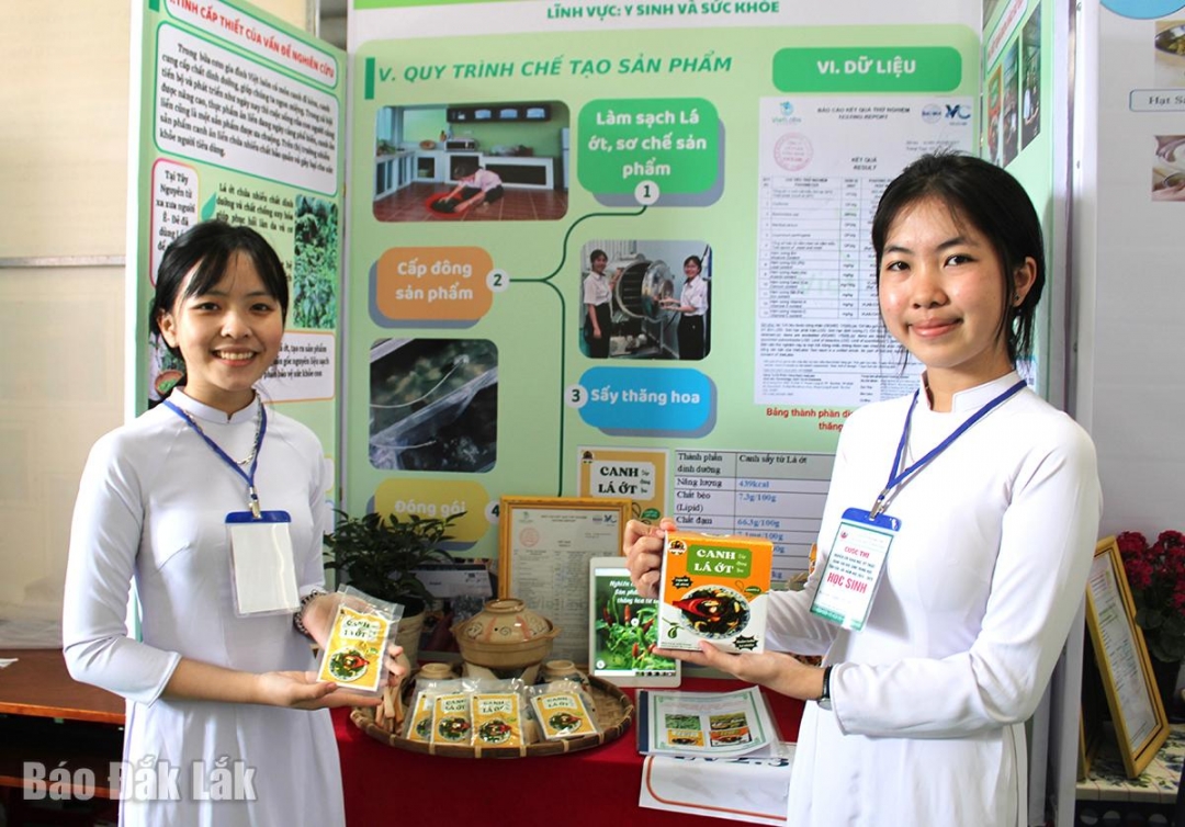 Học Sinh Đắk Lắk Biến Nông Sản Quen Thành Sản Phẩm Sáng Tạo, Gặt Hái Giải Thưởng