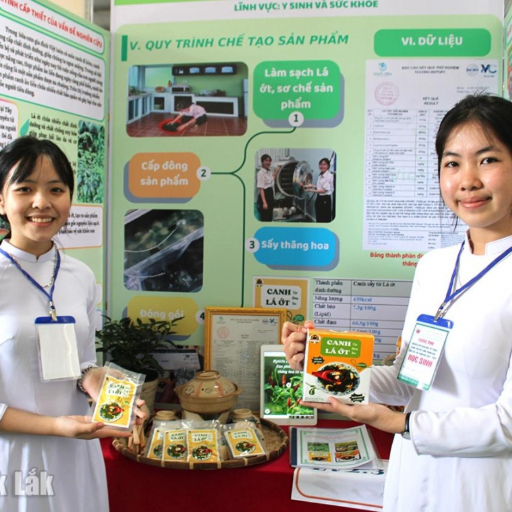 Những Sáng Tạo Độc Đáo Từ Cây Nhà Lá Vườn