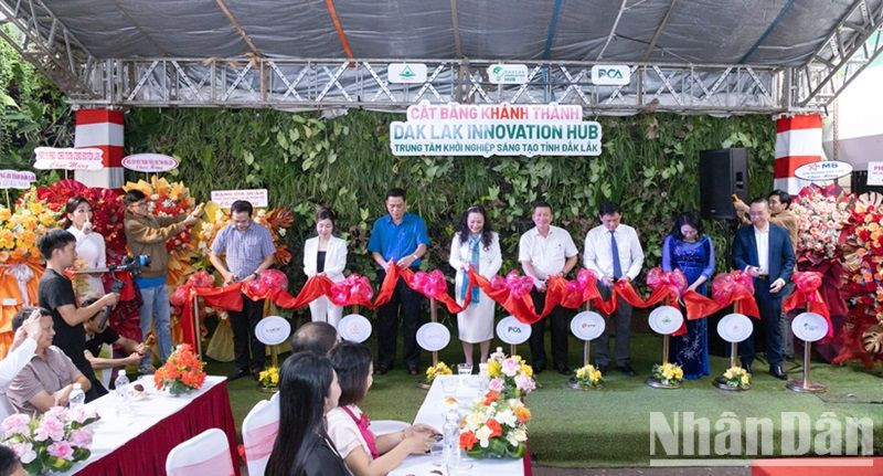 Trung Tâm Khởi Nghiệp Sáng Tạo Đắk Lắk – Bệ Phóng Cho Startup Vươn Tầm