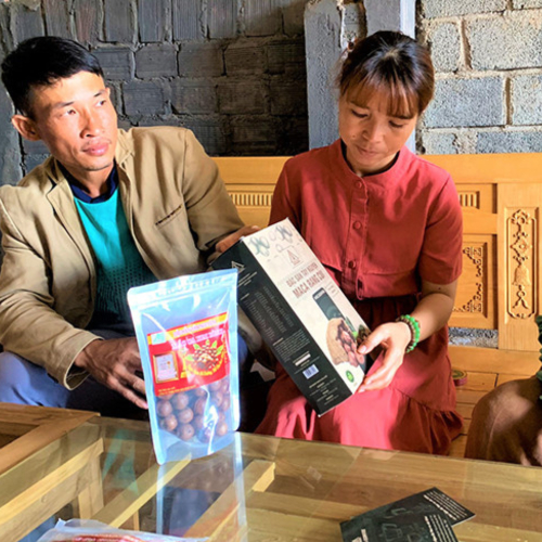 Lan Tỏa Phong Trào Khởi Nghiệp Trong Giới Trẻ Ở Đắk Lắk