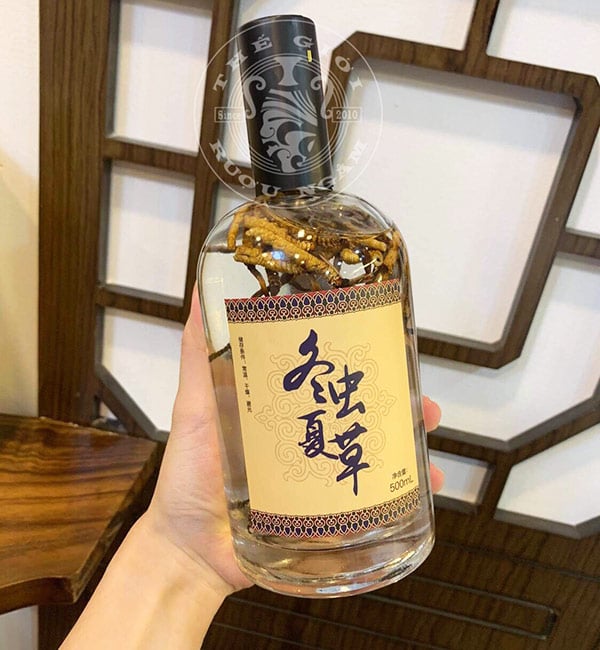 1. Giới thiệu chung