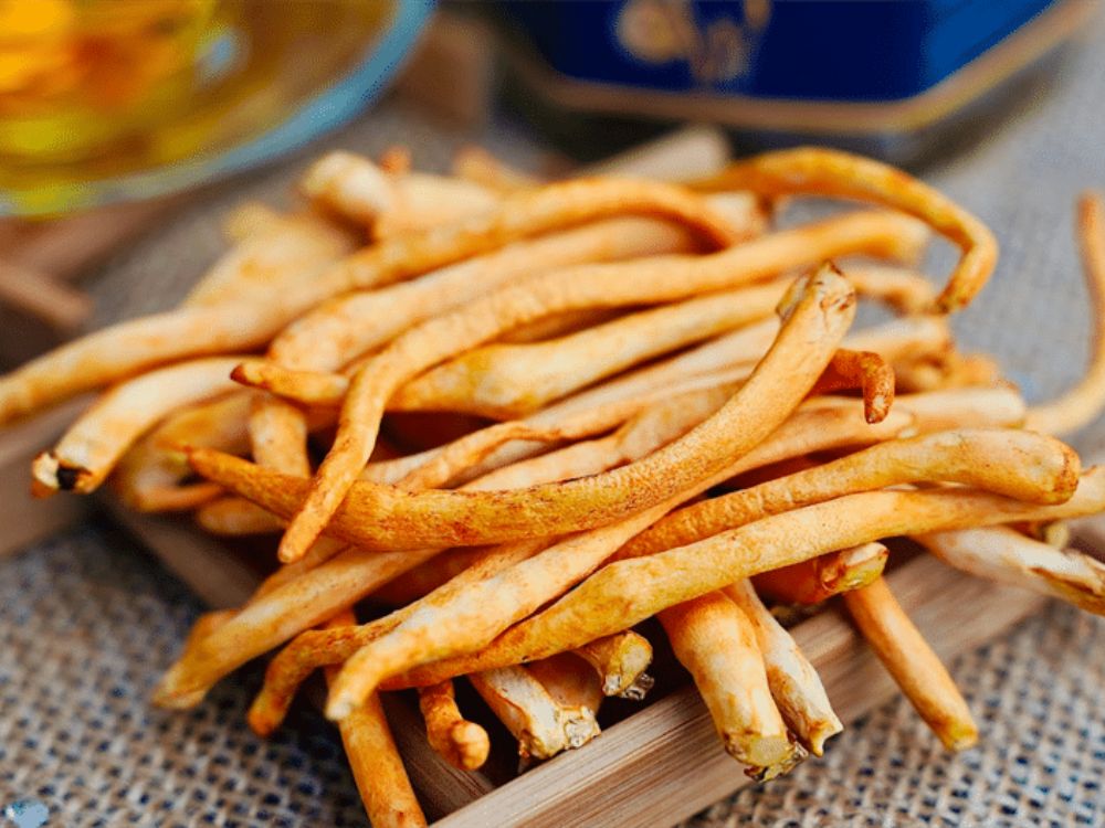 Hướng dẫn cách dùng đông trùng hạ thảo