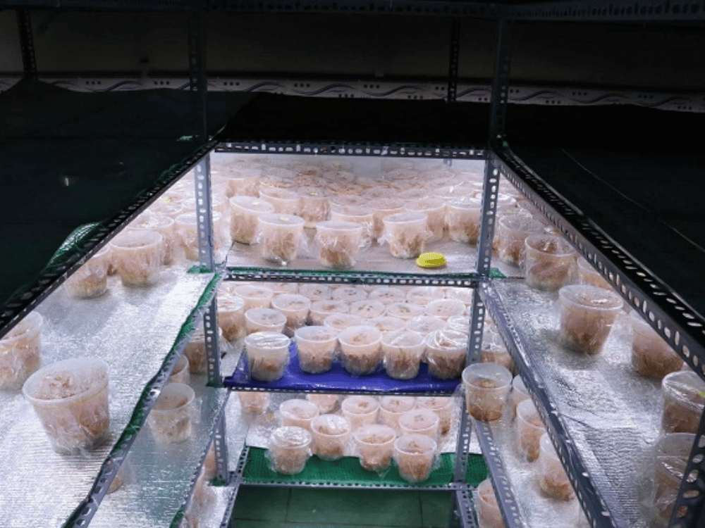 Tạo ưu thế riêng cho sản phẩm