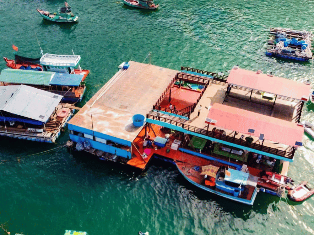 Nội dung chi tiết