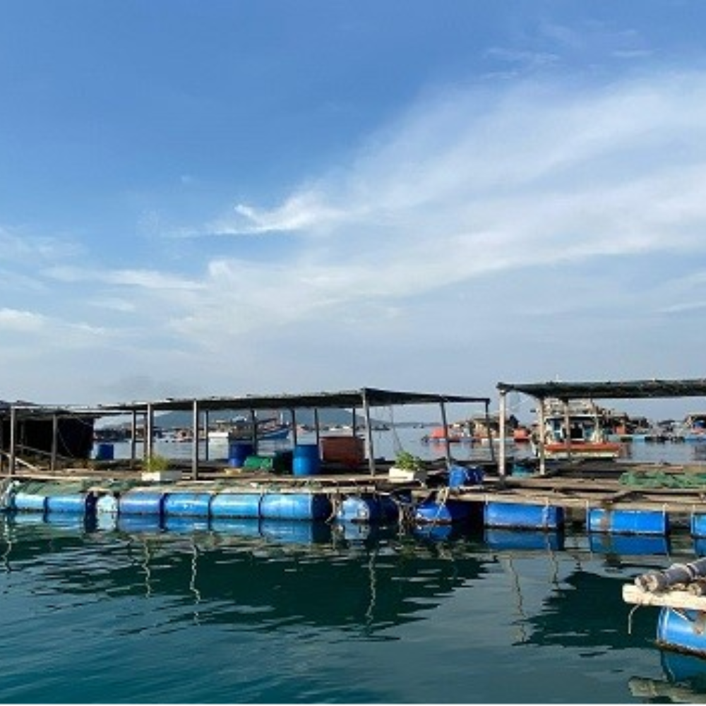 Tổ Trưởng Tổ Vay Vốn Ưu Đãi Của Ngân Hàng Chính Sách Quyết Tâm Bám Biển, Bám Đảo, Vừa Tích Cực Thi Đua Lao Động Sản Xuất