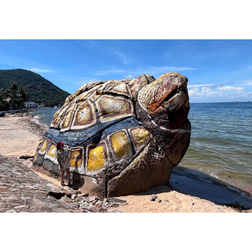 Những góp ý tâm huyết