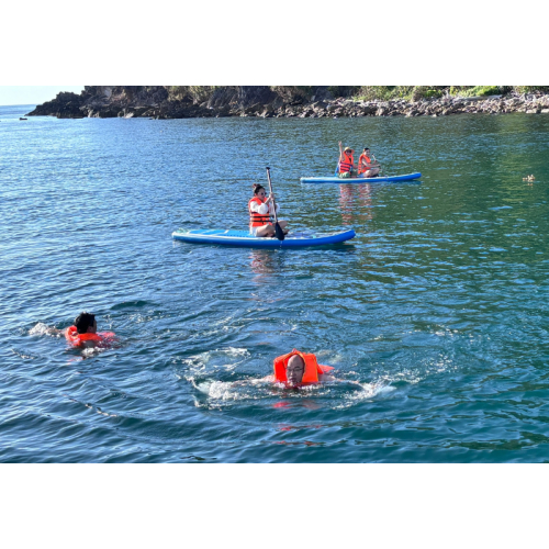 Những góp ý tâm huyết