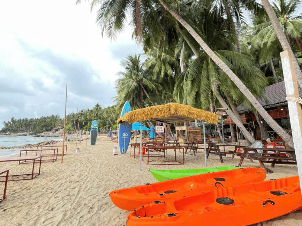 Hoạt động mà du khách thường làm khi tới Bãi Bàng