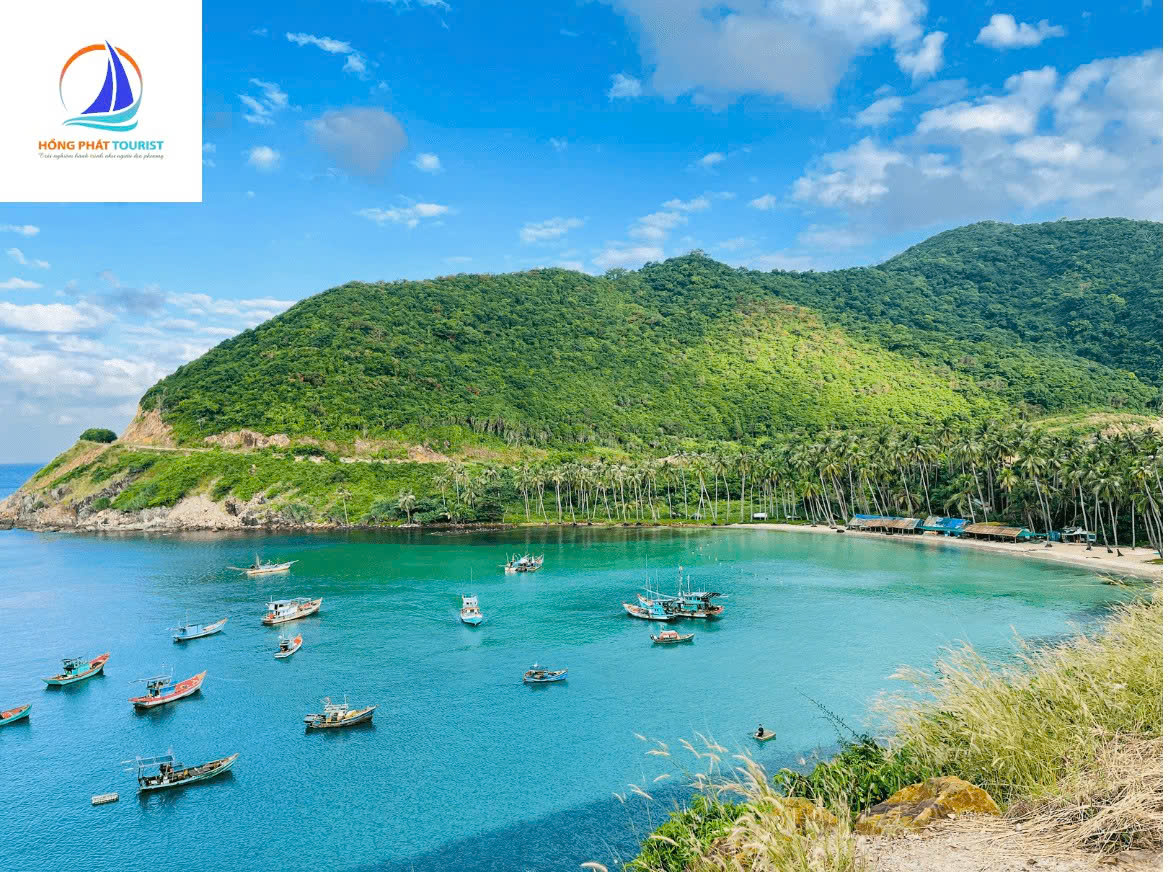 Đặc điểm nổi bật