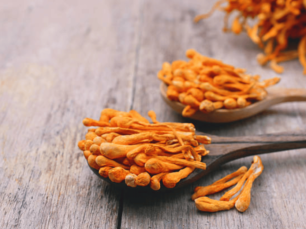 Tác dụng chống khối u tiềm năng