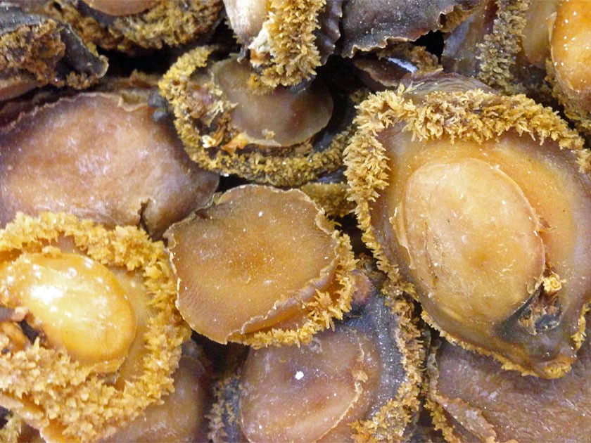 Bào ngư, vi cá, tổ yến