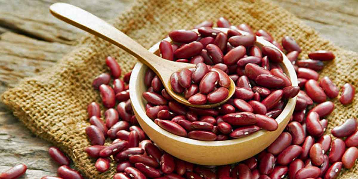 Hạt đậu đỏ