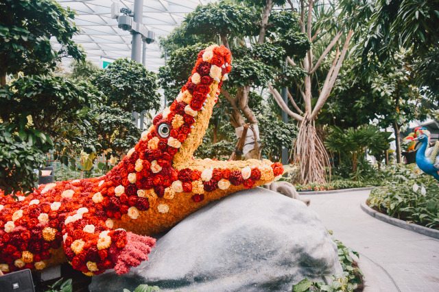 2. Một trong những bộ sưu tập thực vật trong nhà lớn nhất tại Singapore