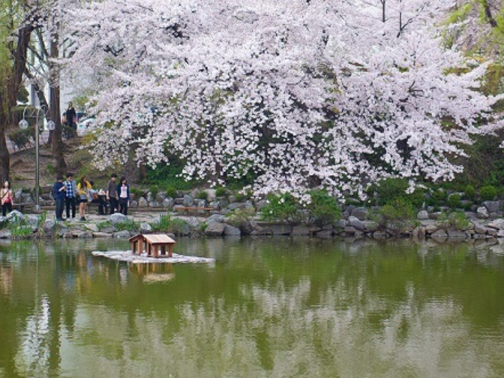 Thời Tiết mùa Hè Hàn Quốc