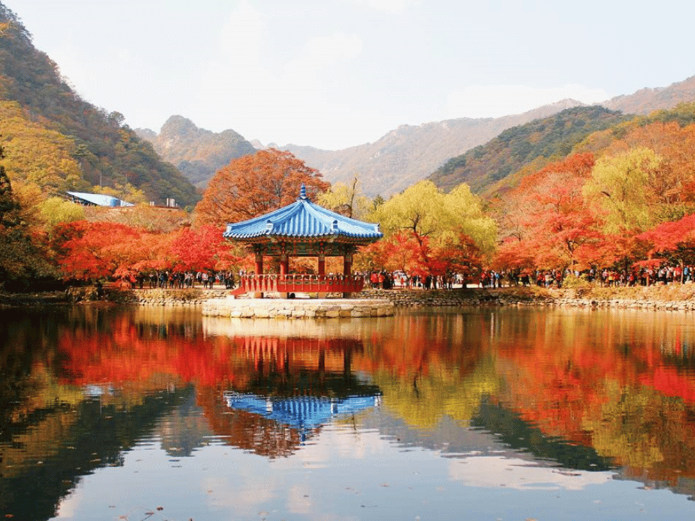 Công viên Quốc gia Naejangsan