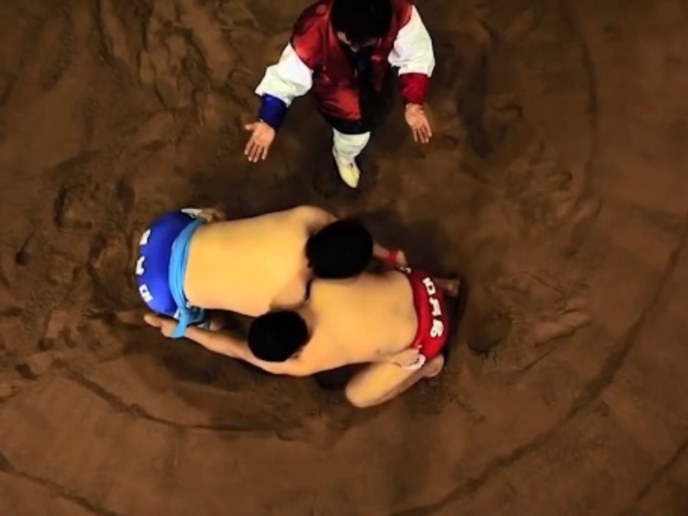 Ssrieum (Đấu vật)