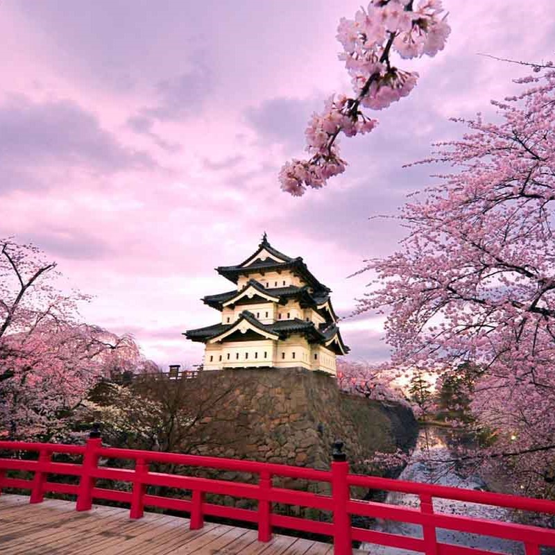 08 Lý Do Du Lịch Nhất Bản