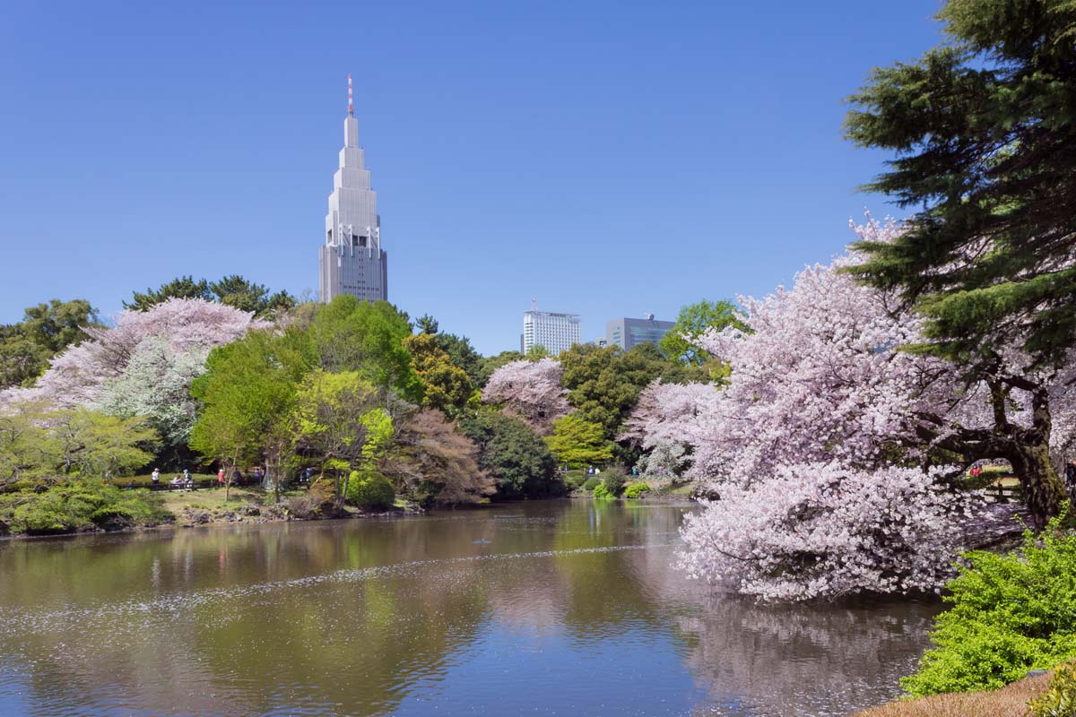 Công Viên Quốc Gia Shinjuku Gyoen Tokyo)