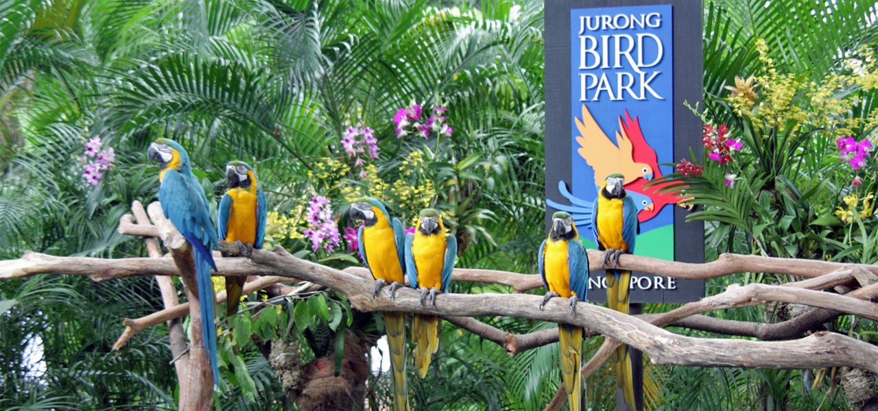 Vườn chim Jurong