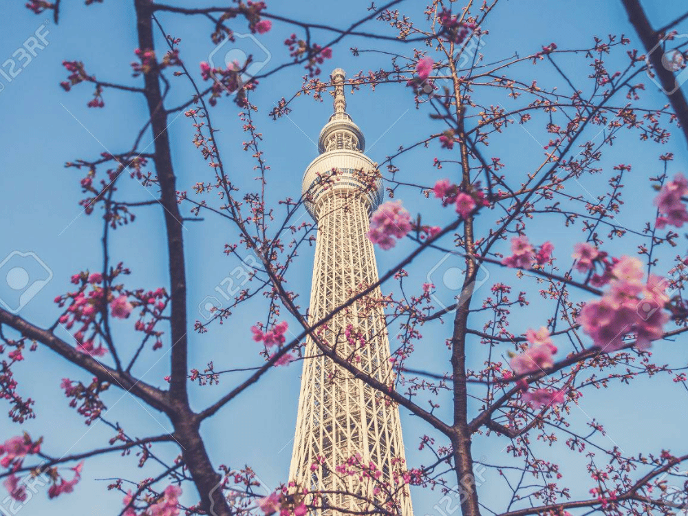 Tháp truyền hình Tokyo Sky Tre