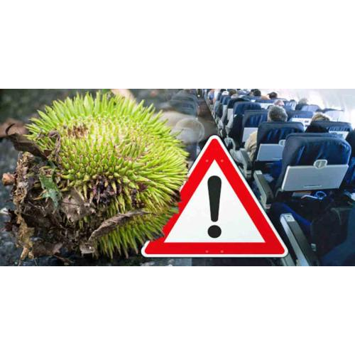 Đừng dùng đồ ăn có mùi