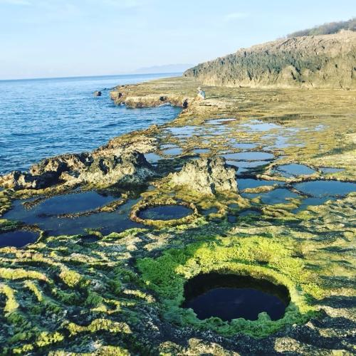 Du Lịch Ninh Thuận Có Gì?