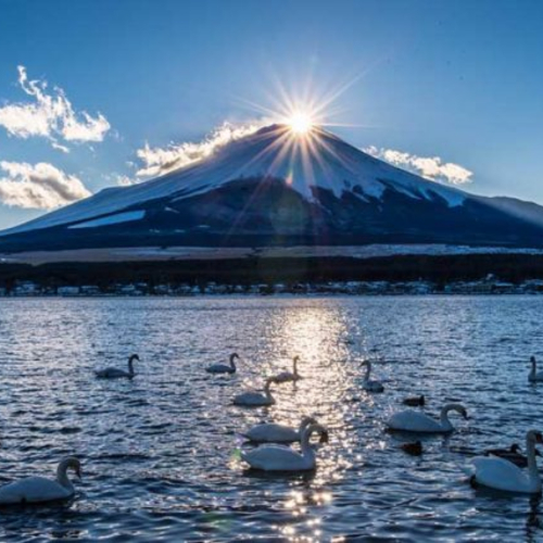 Lạc Trôi Giữa Xứ Sở Mặt Trời Mọc