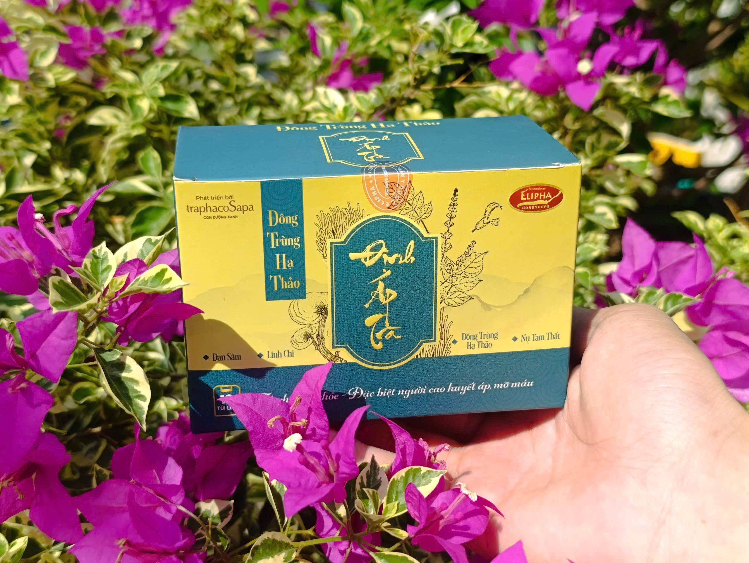 Kết luận – tách trà của sức khỏe và sự thư thái