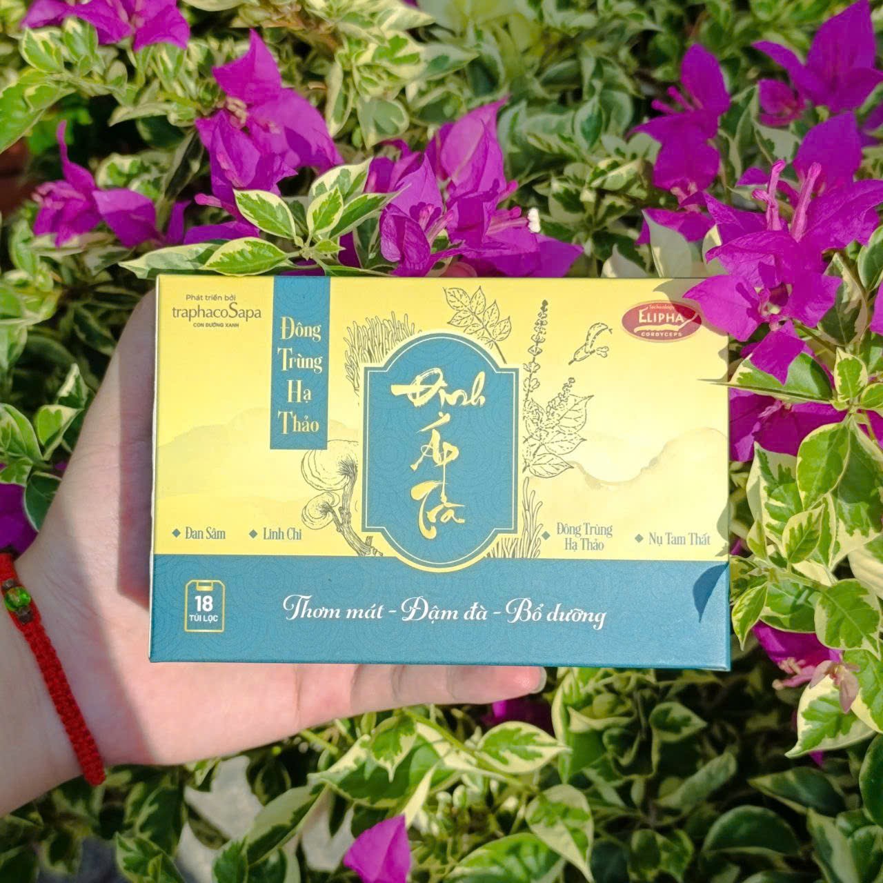 Đối tượng sử dụng