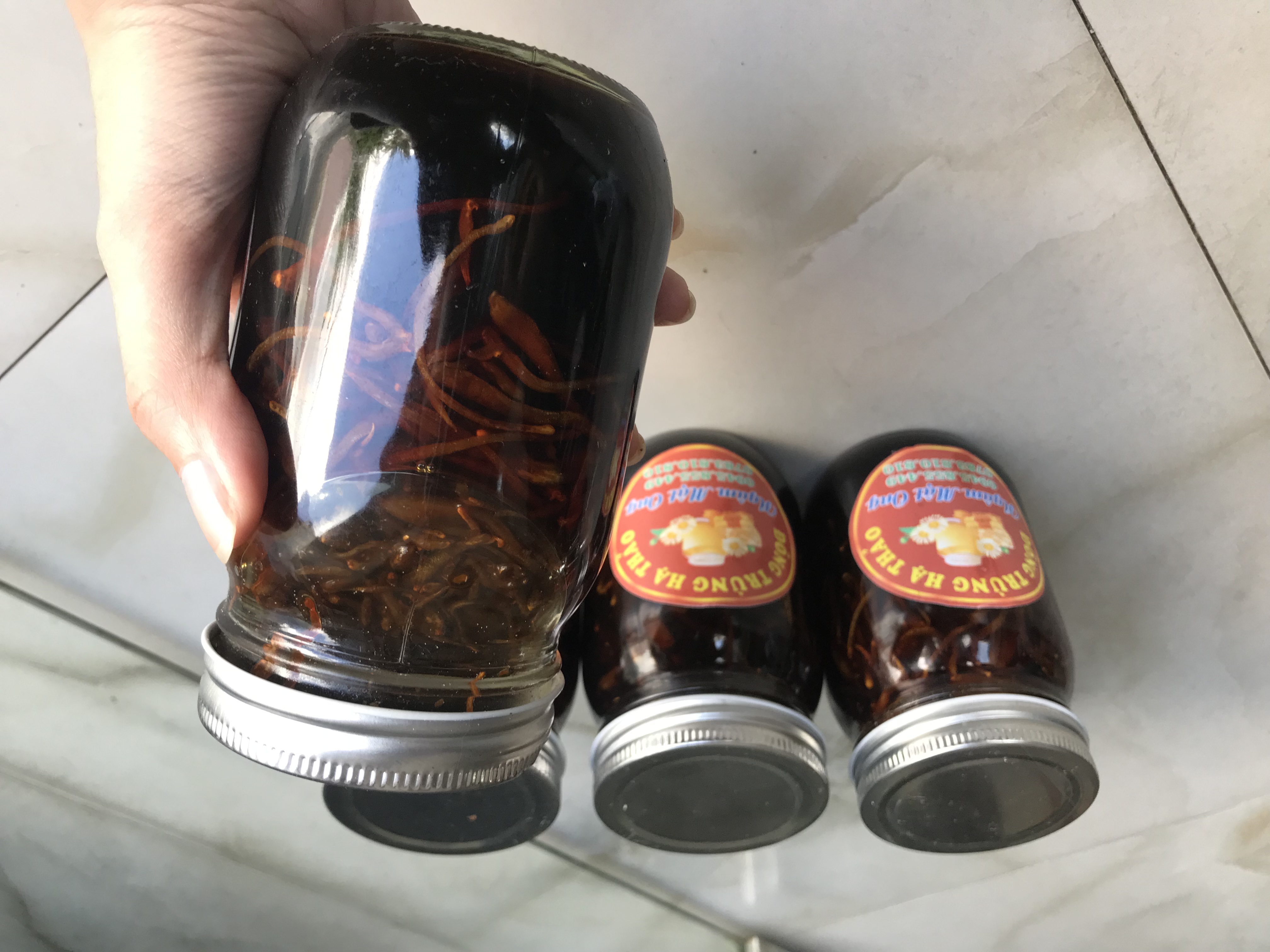 Uống đông trùng hạ thảo pha mật ong mỗi ngày có tốt không?