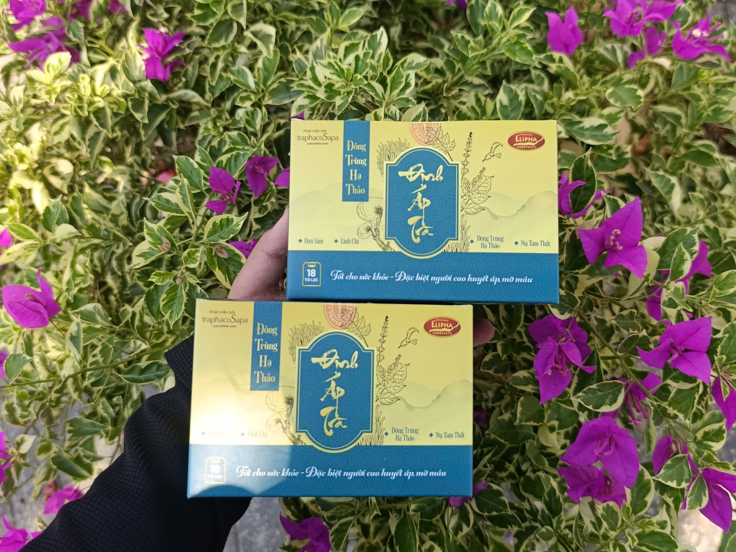 Trải nghiệm hương vị – thơm mát và đậm đà