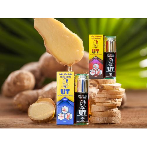 Kết luận: Gừng – nhỏ bé mà diệu kỳ