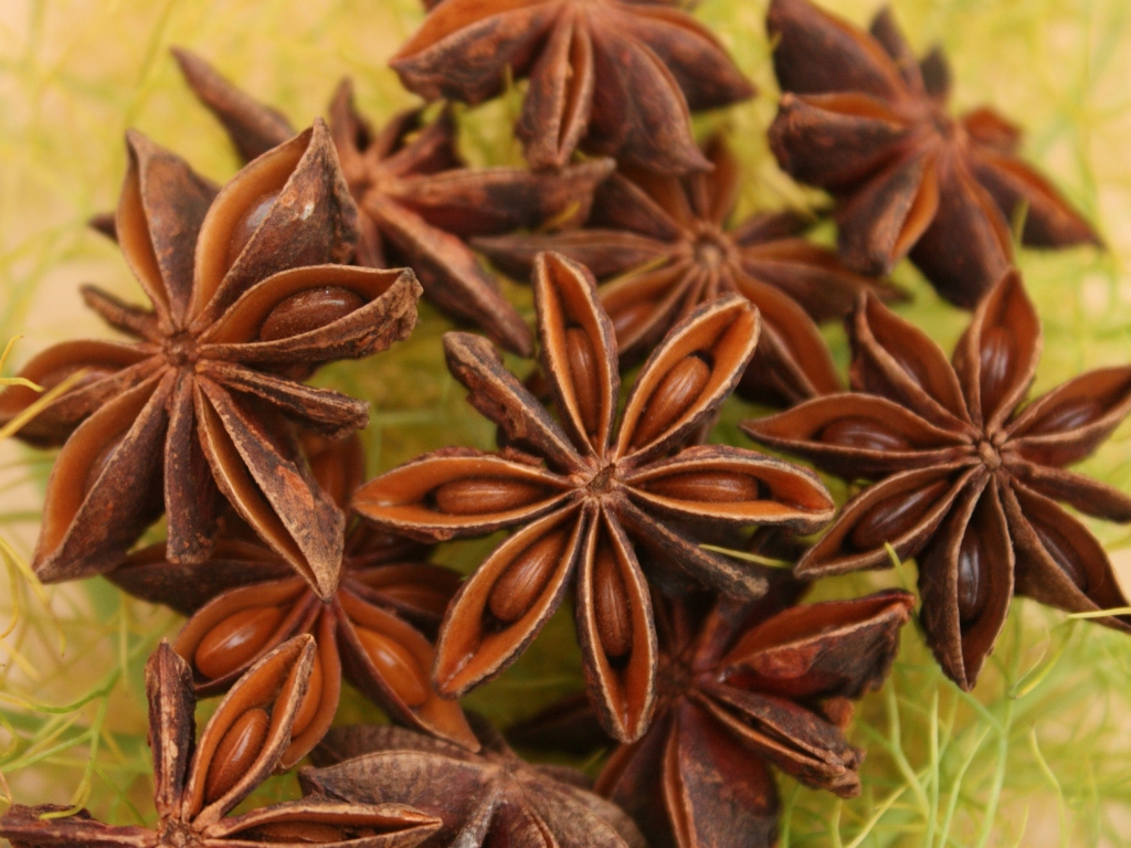 Hoa hồi – Tinh chất trị liệu cho cơ thể