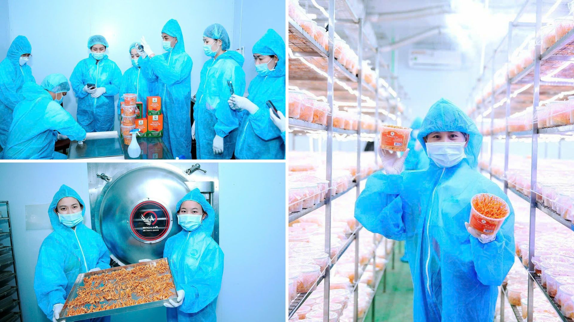 Niềm tin được gieo – Trái ngọt được gặt