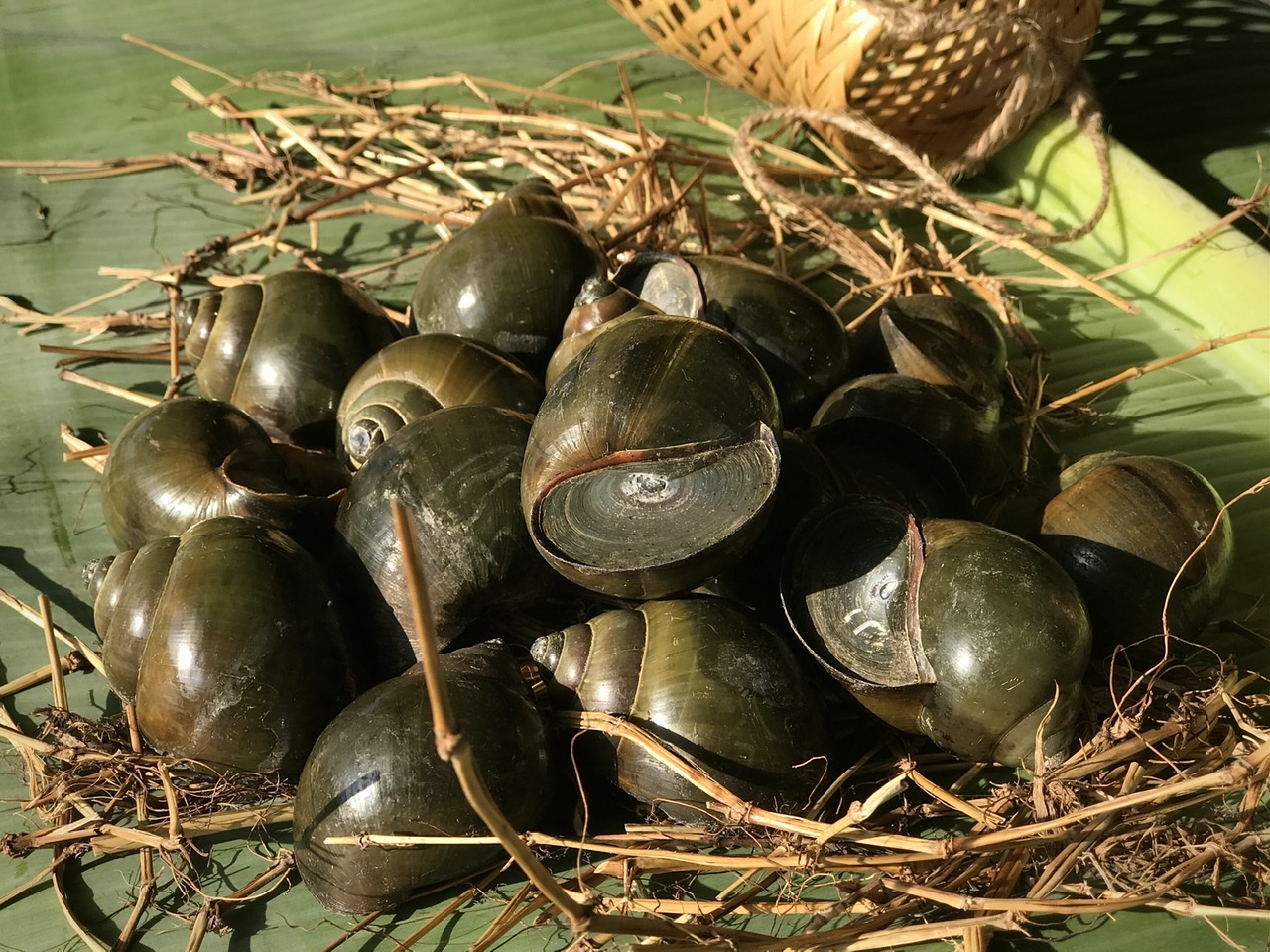 Hỗ trợ giải nhiệt