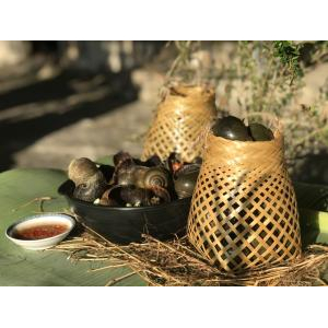 Hỗ trợ sức khỏe của gan