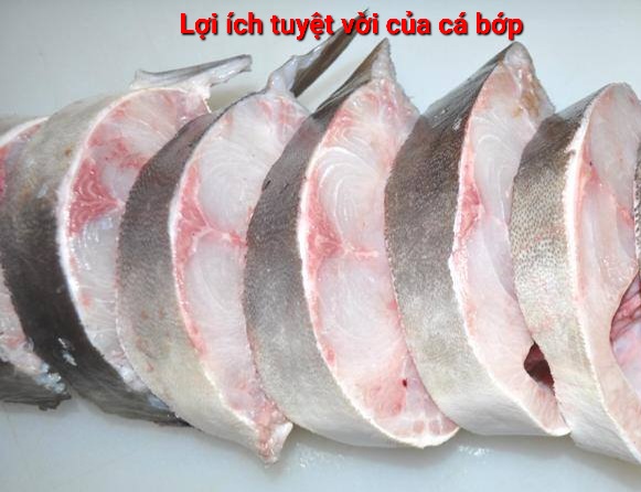 Lợi ích của cá bớp