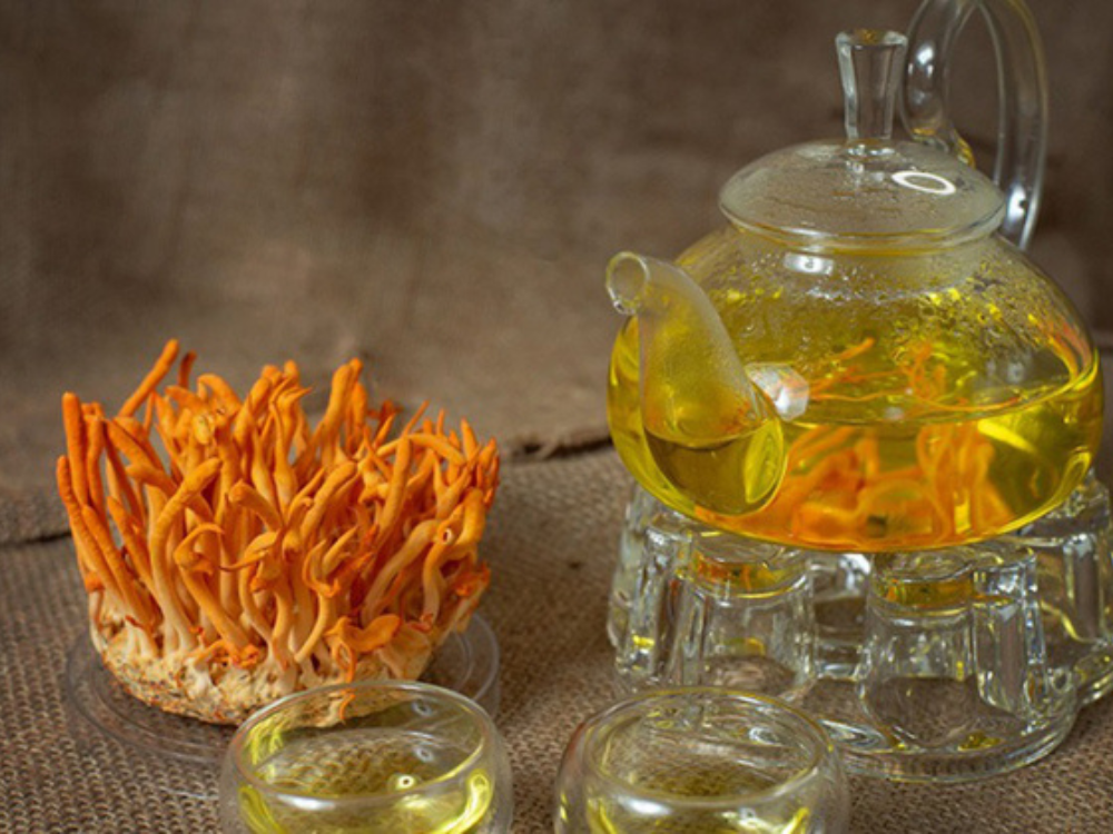 Giới thiệu sản phẩm