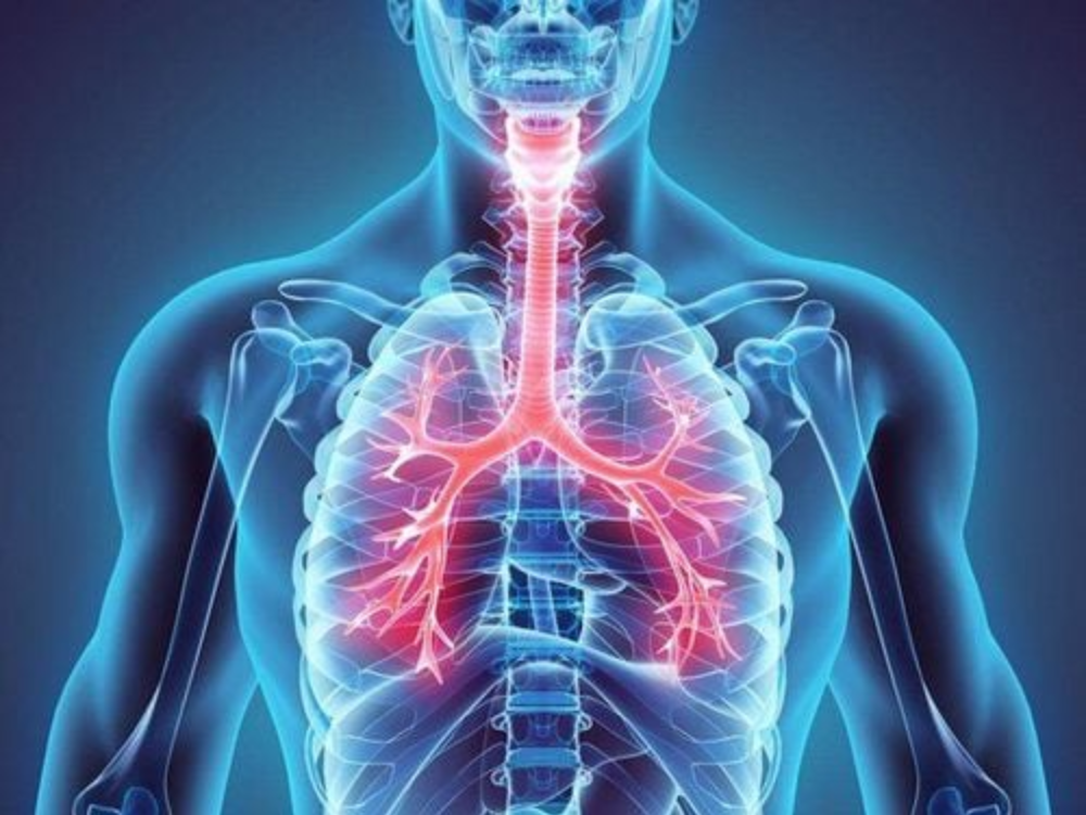 5. Cải thiện chức năng hô hấp