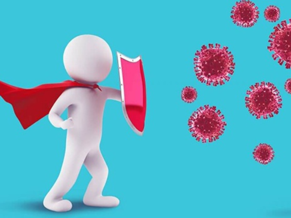 1. tăng cường hệ miễn dịch cho cơ thể