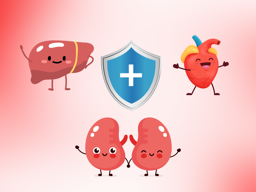 2. Bảo vệ gan, tim, thận