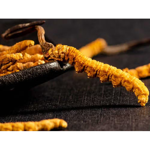 Phân loại theo hình thái