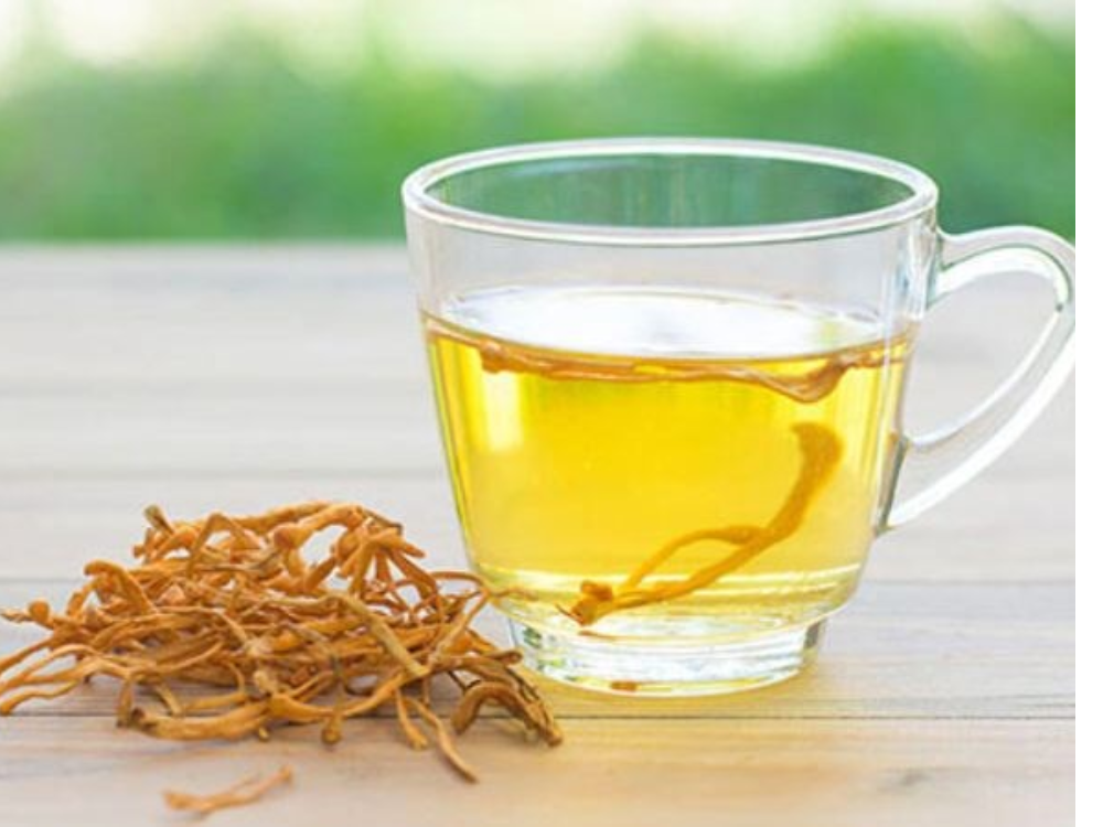 Ngâm đông trùng hạ thảo đúng cách