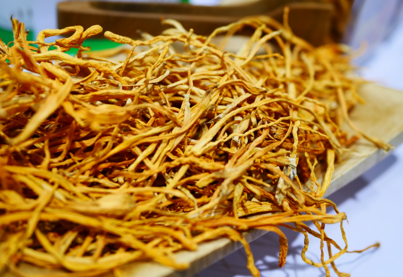 Các dạng Đông trùng hạ thảo phổ biến hiện nay