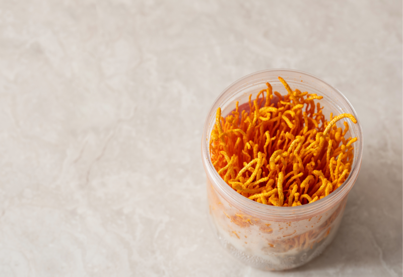 Sử dụng Đông trùng hạ thảo quá liều