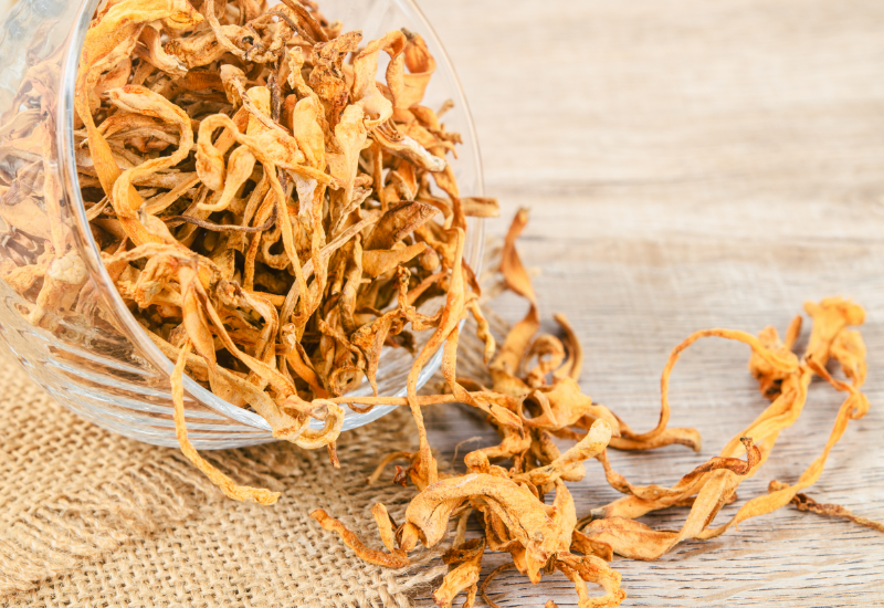 Đặc điểm hình thái và sinh học