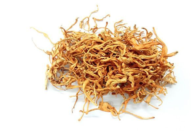 Tránh tương tác thuốc khi sử dụng Đông trùng hạ thảo