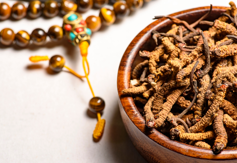 Thành phần hoạt chất trong Đông trùng hạ thảo hỗ trợ hệ miễn dịch