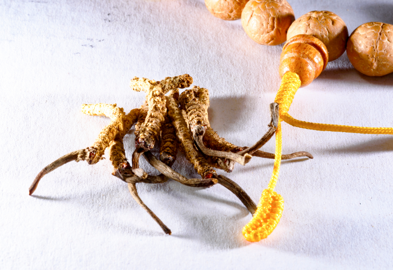 Thành phần hoạt chất và công dụng